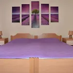 Lavandula *