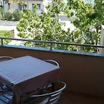 Lavandula * Baška