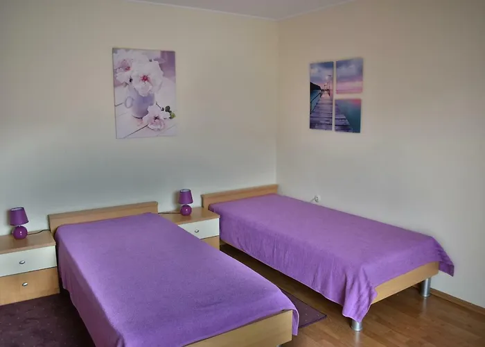 Lavandula * Baška