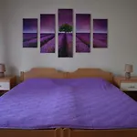 Lavandula