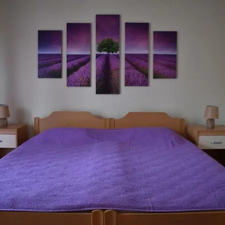 Lavandula
