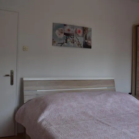 Lavandula *
