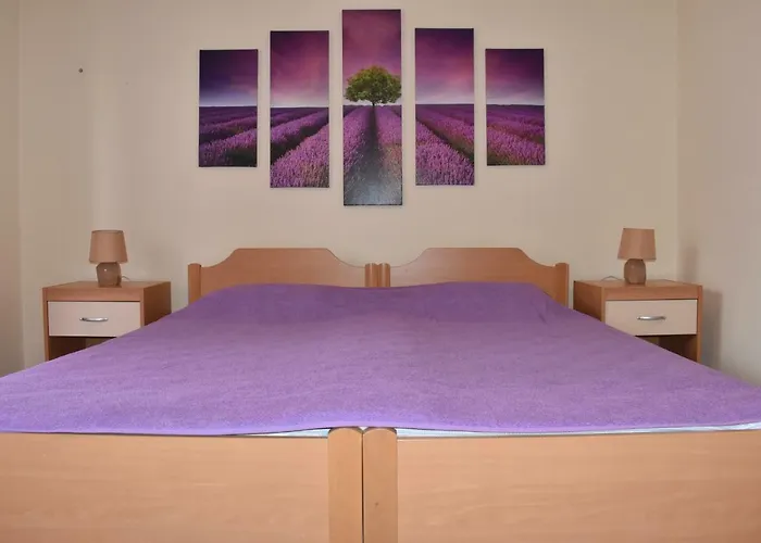 Lavandula *