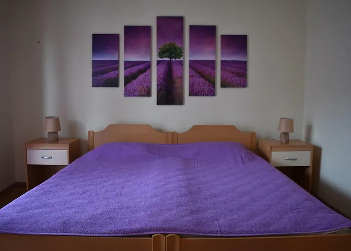 Lavandula