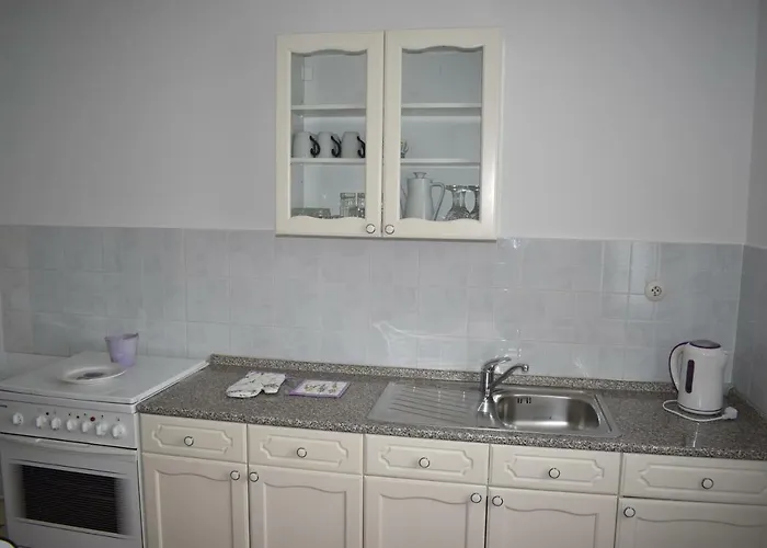 Lavandula * Baška