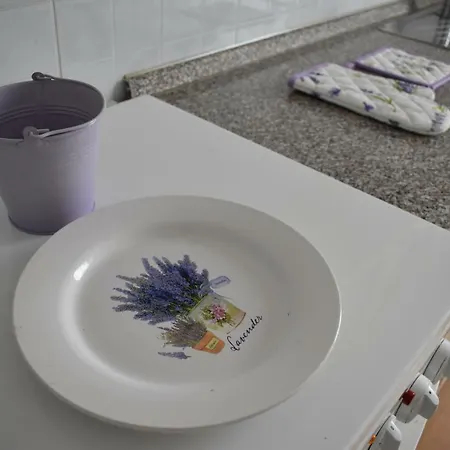 公寓 Lavandula 巴斯卡